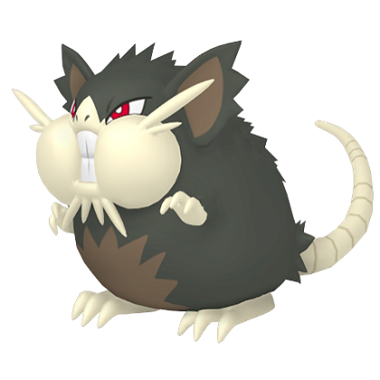 Pokédex - an Alolan Raticate against a white background