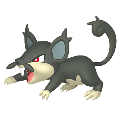 Pokédex - an Alolan Rattata against a white background