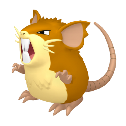 Pokédex - a Raticate against a white background