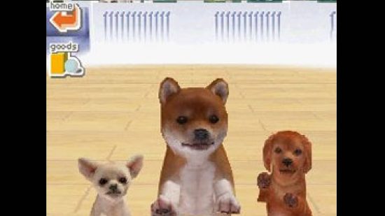 Best DS games: a screenshot shows the Nintendo DS game Nintendogs