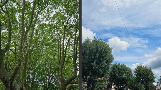 Samsung Galaxy S23 Ultra review photo examples showing two scenes of trees, one in a busy wooded area on the left, one faraway with large clouds in the blue sky on the right.